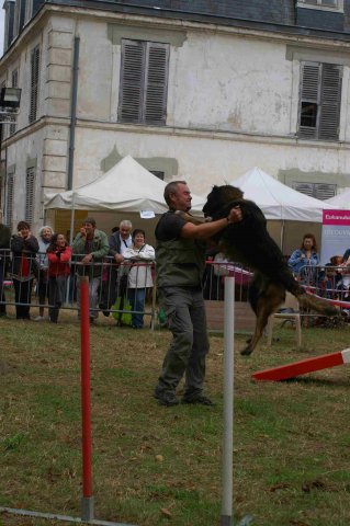 foire-haricots 2011-09-17et18